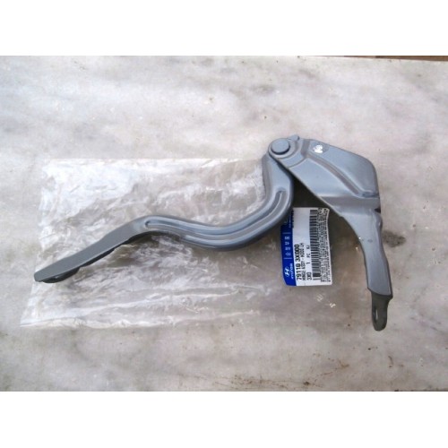 MOTOR KAPUT MENTEŞESİ SOL ELENTRA 2011-